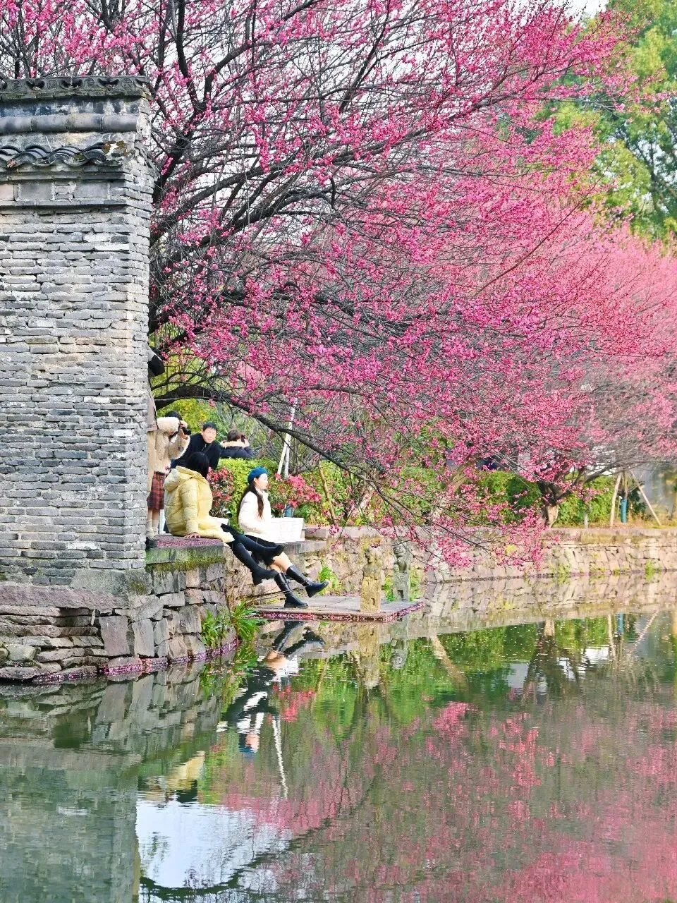 在宁波,真不敢相信这是个免费景点!地铁直达的小众宝藏园林,红梅似云霞