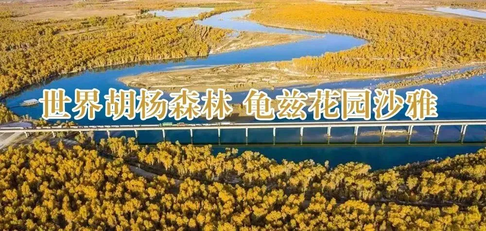 喜报!沙雅县迎宾馆获评四星级旅游饭店