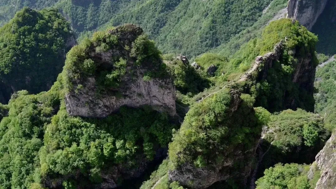 晋城陵川王莽岭景区