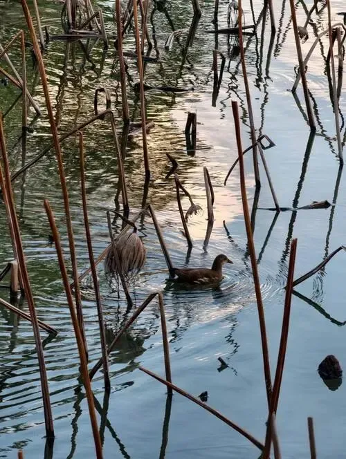 福建泉州把全国景区的饭碗给砸了