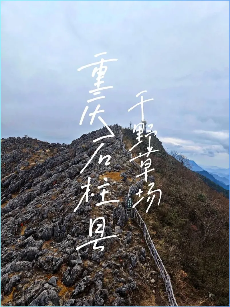 大量四川游客扎进重庆石柱,打着旅游的名义,不看黄水不吃莼菜,想干嘛?