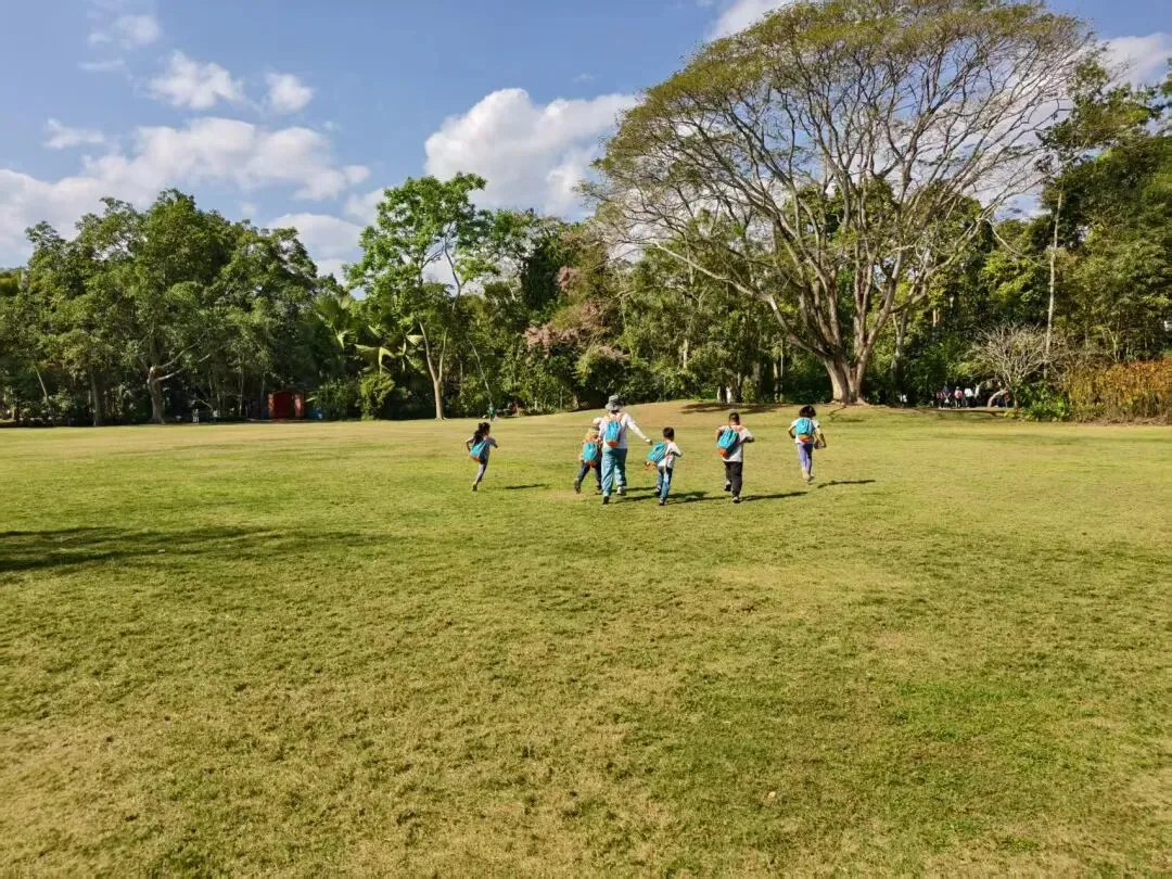 我和我的“旅游搭子”