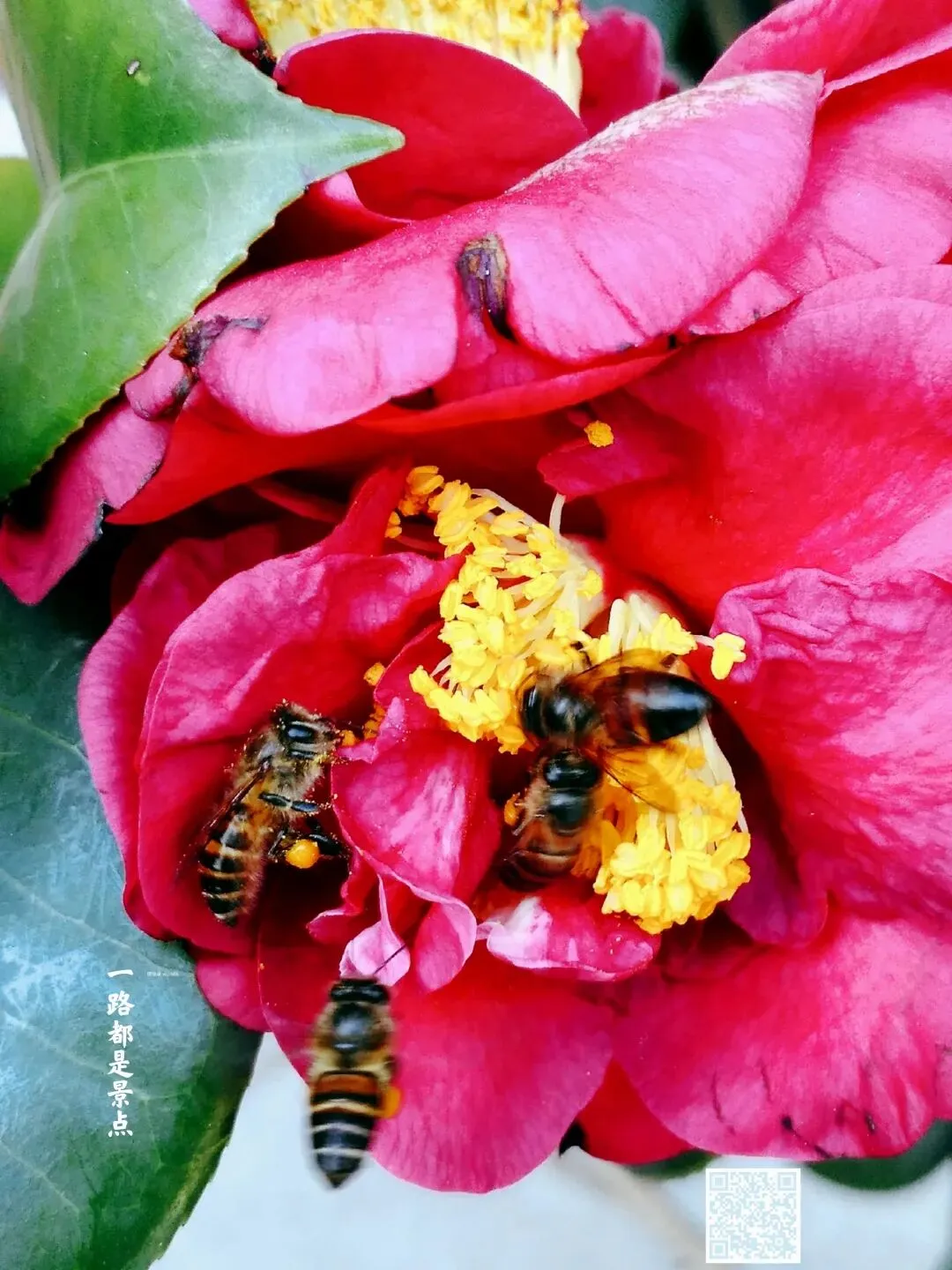 镜缘录|一路都是景点