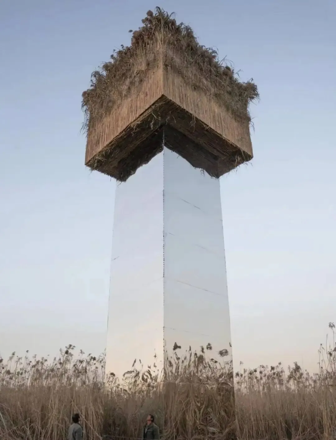 景区艺术作品被指“候鸟屠场”,高考题早有出过