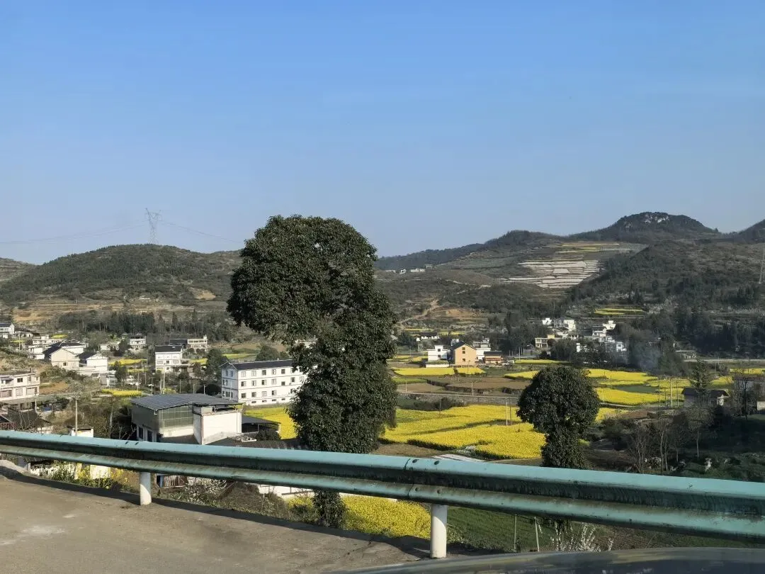 播州区马坪村寨里乡村旅游品牌化建设及收益路径探析