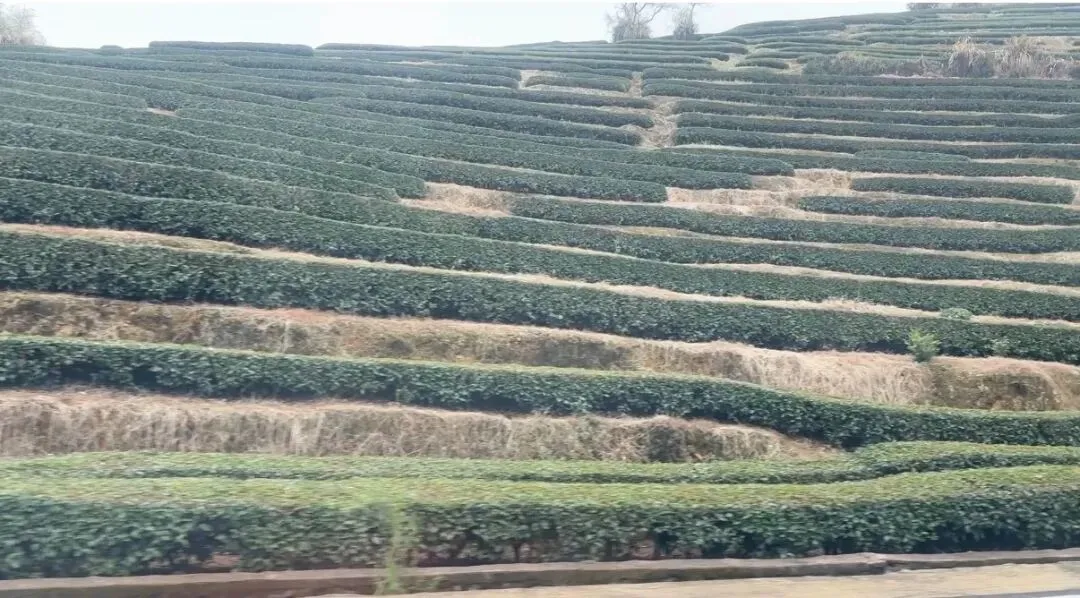 福建旅游,土楼到底值不值得看