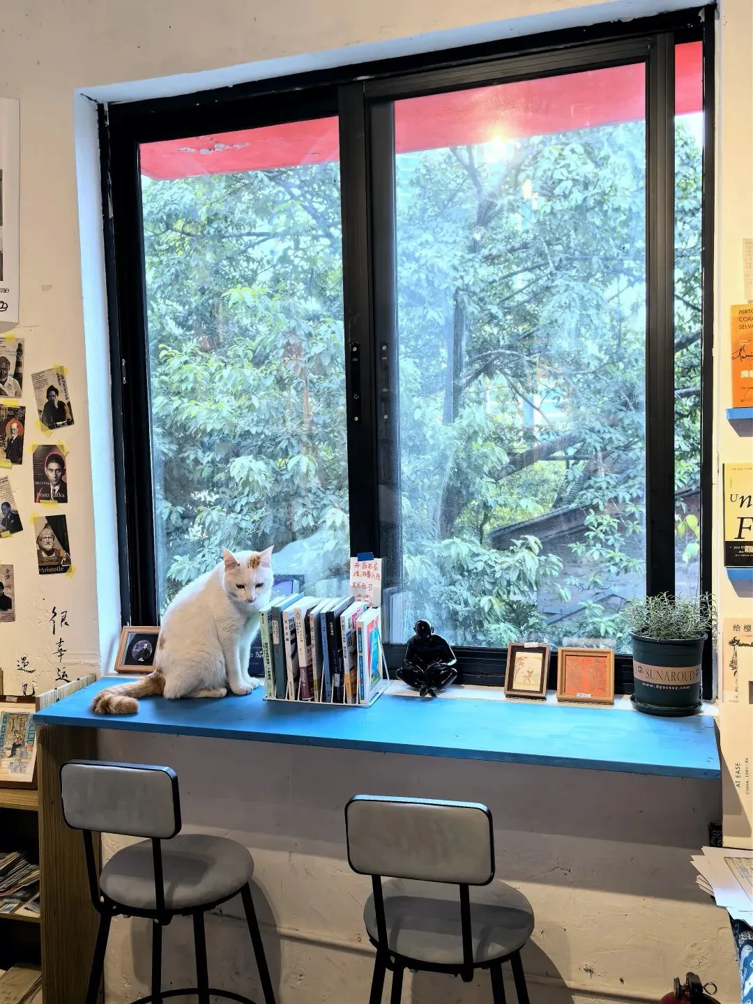 藏在旅游景点14元就可以坐一天的宝藏书店