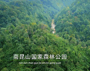 【惠州龙门·盛花谷景区】无动力乐园,全新泰国风情酒店!399元抢盛花谷泰极汤泉度假酒店豪华房+自助早餐+无限次汤泉+书吧/娱乐馆/运动场