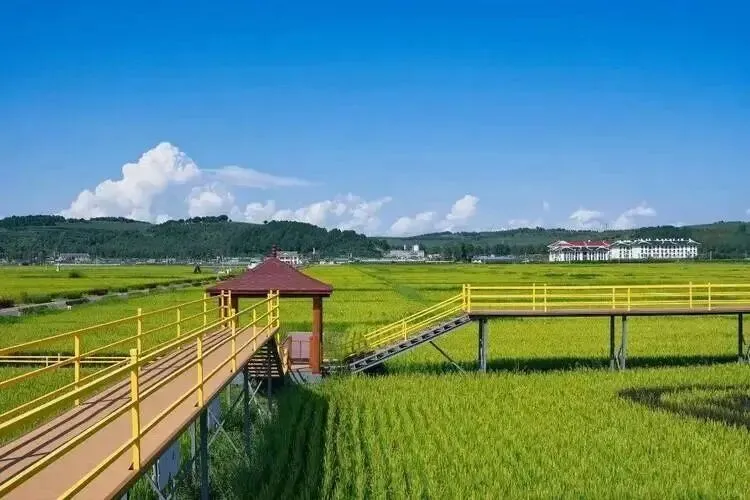 【乡村规划】“乡村旅游+”,究竟加什么?如何推动乡村振兴?