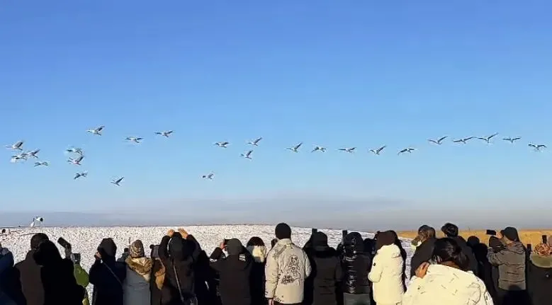齐齐哈尔知名景区,刚刚官宣→