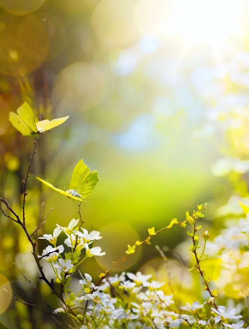 踏春盛宴,三盛公景区四月焕新归来!