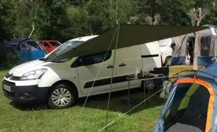 旅游回来发现车内被盗,主人跪求小偷,请把狗狗的骨灰还回来!