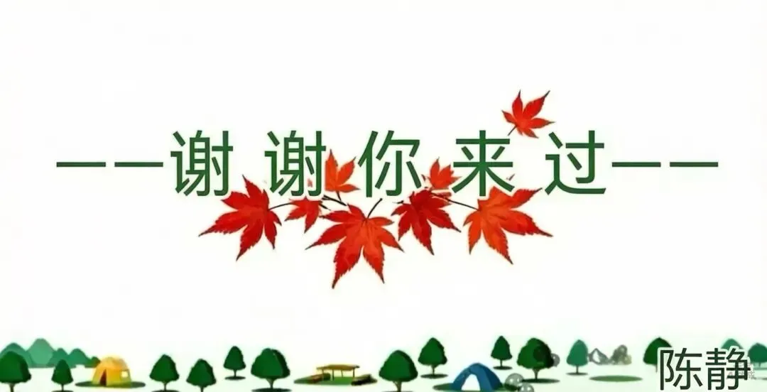 老伴儿,咱俩的“第二春”不是旅游,是……