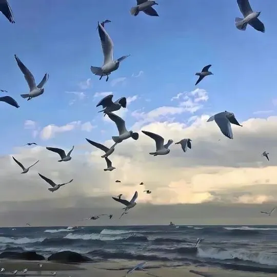 “旅游结束这样发,朋友圈100%被秒赞!”