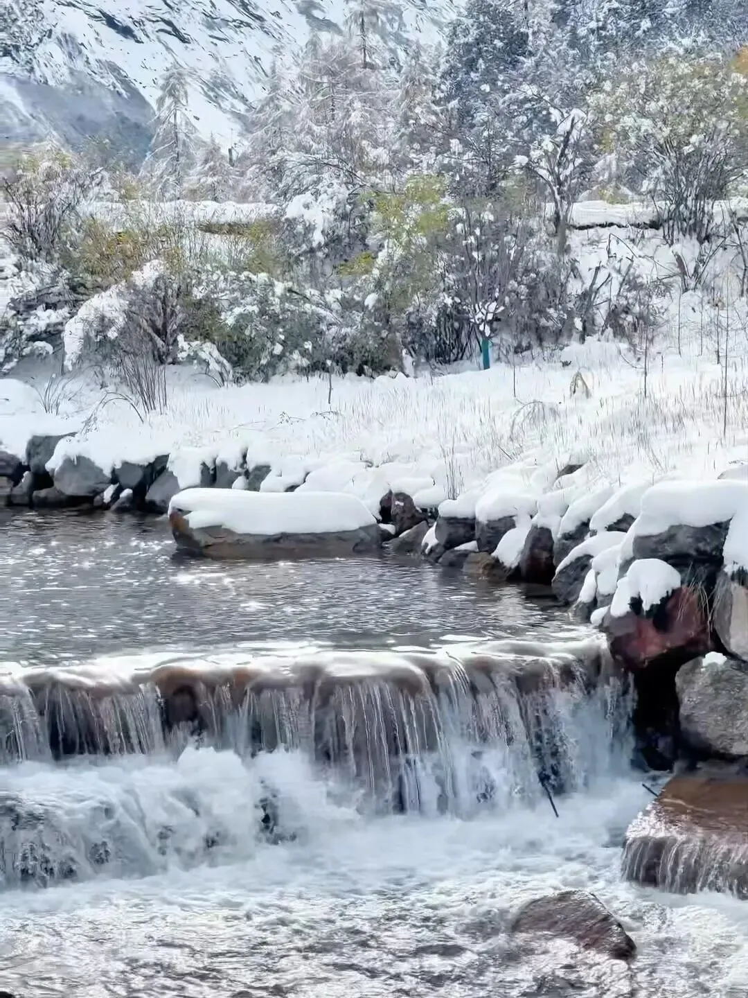 毕棚沟旅游已回,我的血泪教训!!!