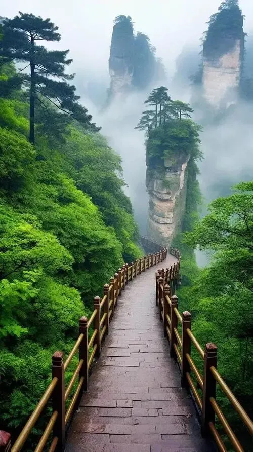 张家界国家森林公园把全国景区的饭碗给砸了