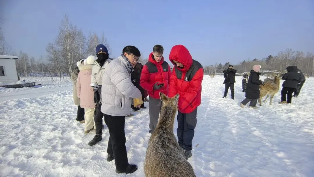 引客入伊热度拉满!溪水公园冬季旅游高峰来袭,人气持续攀升!