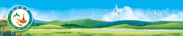 春节慰问暖人心丨杭锦后旗旅游服务中心开展困难残疾人慰问与关爱下一代活动