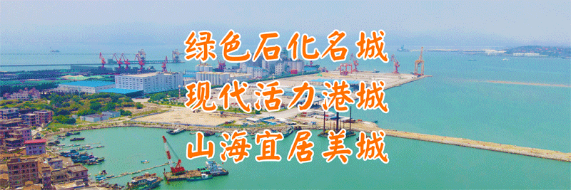 2026泉港区春节假日旅游倡议书——致全区广大旅游从业者