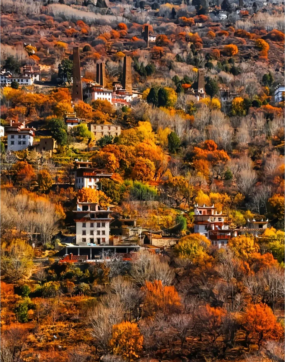 国内8大最火乡村旅游,你去过几个?