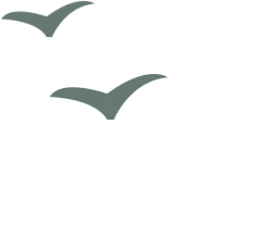 迎接油菜花节,2026汉中皇塘景区升级蝶变!