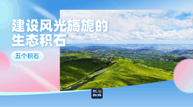 关于对积石山县盖新坪林场黄草坪景区采用人工施放农药作业的公告