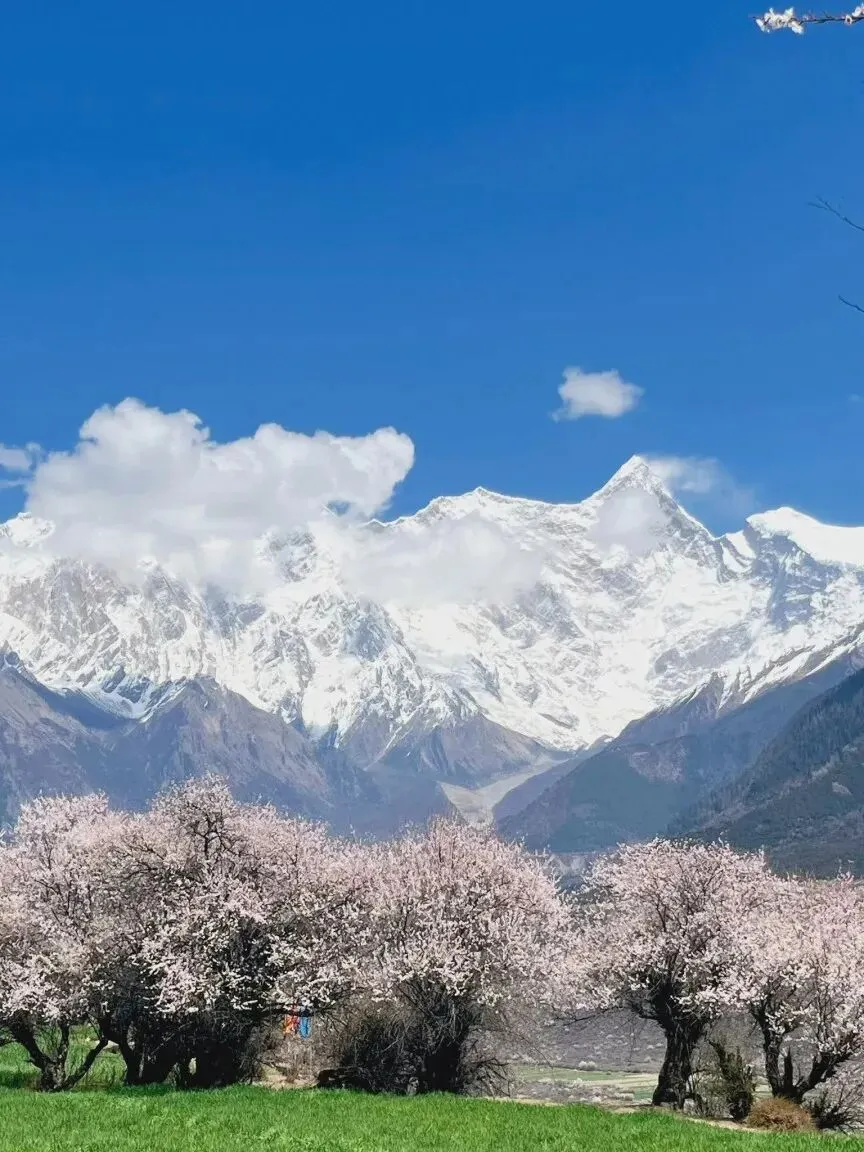 一定要去的5个必游国内景点,你去过几个