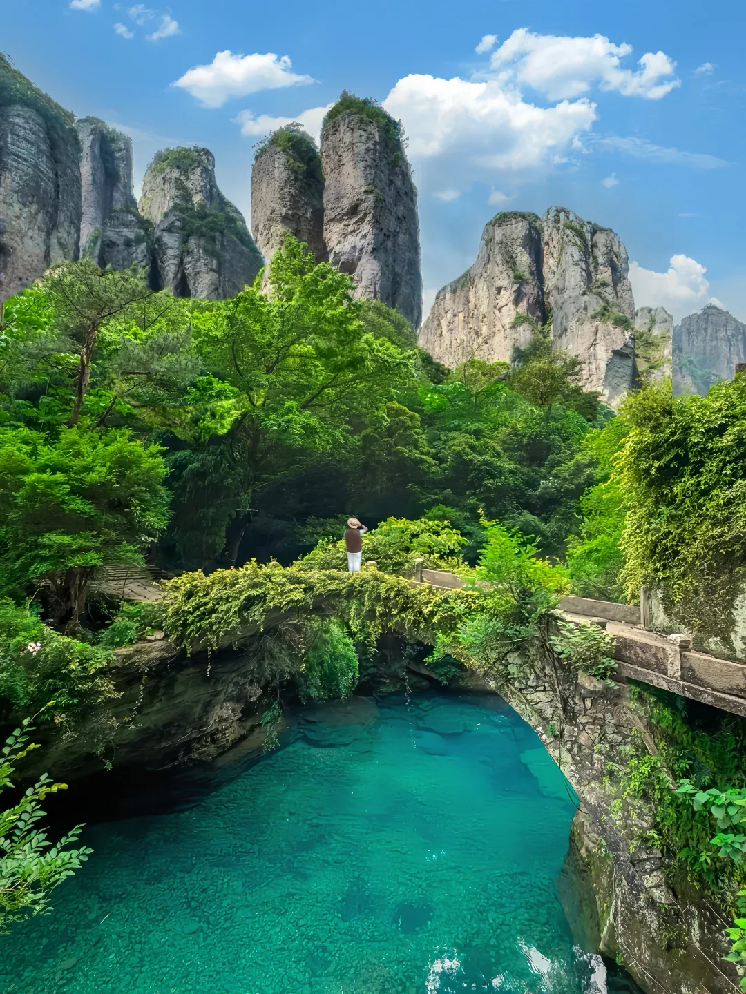 浙江温州狂喜!雁荡山景区免费了!以前收费130元,如今敞开玩