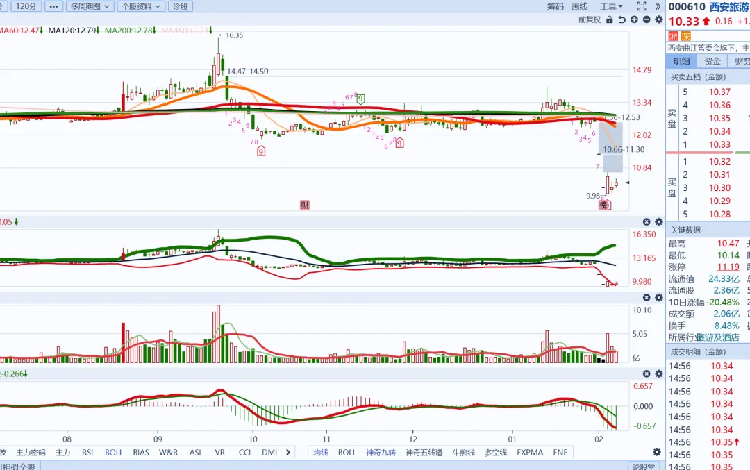 公司名称:西安旅游股份有限公司(西安旅游 000610)