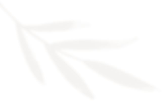 “中国旅游三件套”爆火:原来全世界都在追同一种“新平衡”