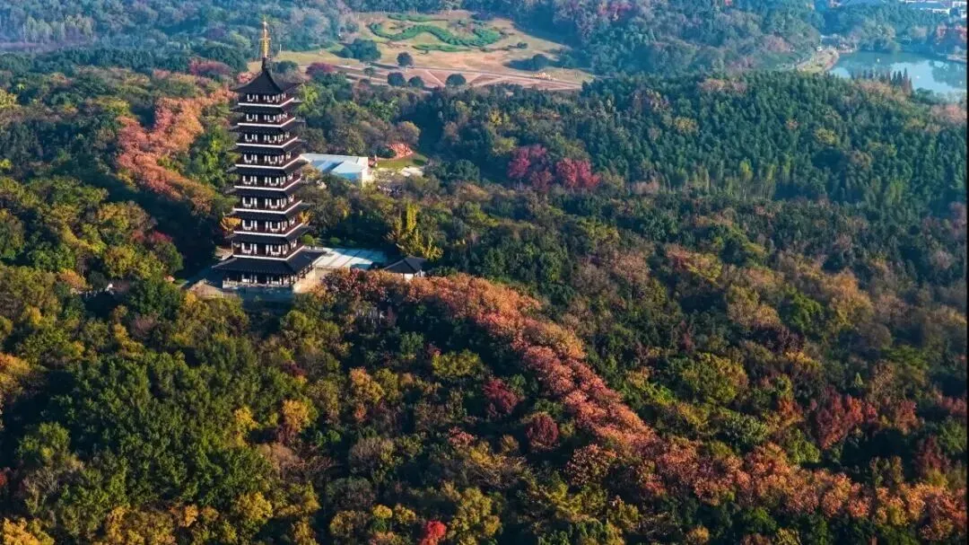 今日上线!宜兴这个景区有了无人驾驶观光车!