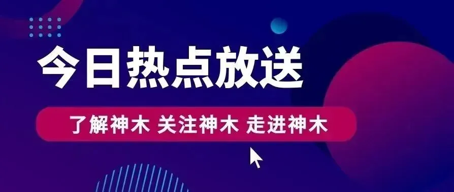 神木红碱淖景区获评“2025人气旅游景区”