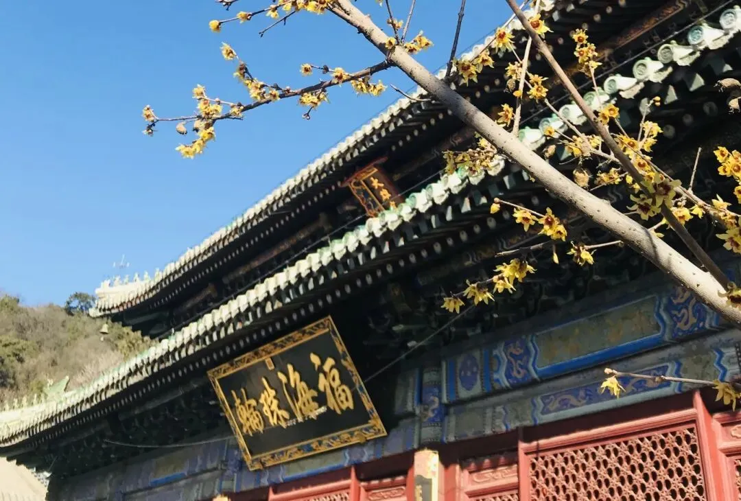 收藏!!!潭柘寺景区春节期间入园须知