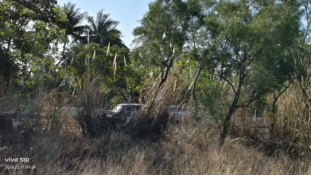 日月湾景区~富力湾最美公路(水口大桥)~新村渔港码头,红树林~疍家博物馆~疍家渔排,