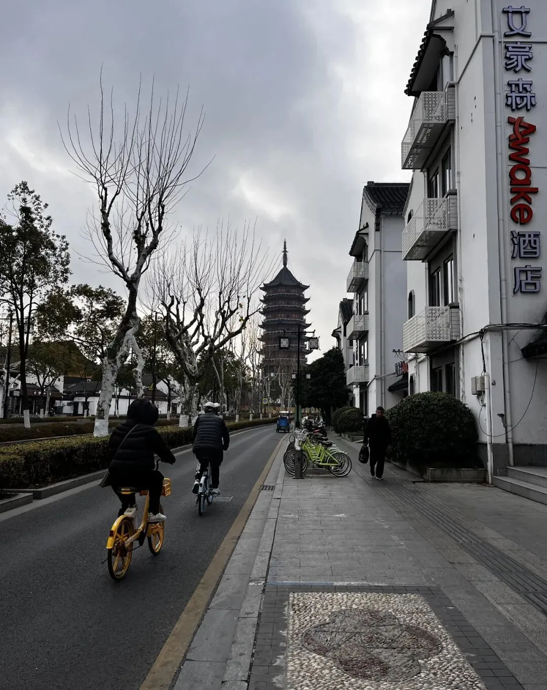 苏州小众景点北寺塔、故居花园、苏州大学、灭渡桥一日游
