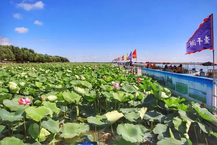 吉林查干湖把全国景区的饭碗给砸了