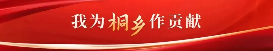 关于新开通乌镇汽车站至乌镇景区响应式预约公交的通告