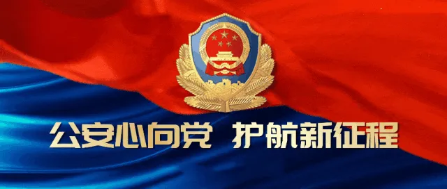 宜江警色|“旅游警务+志愿服务” 守护平安年味