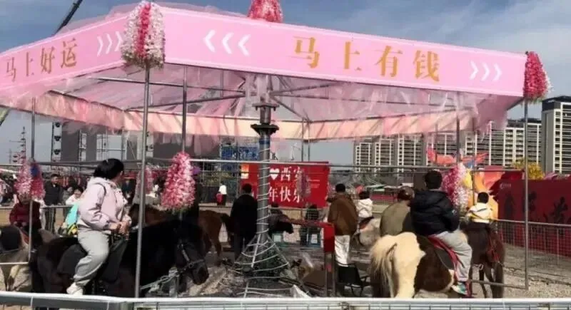 西安一景区推出“旋转真马” 被质疑虐待动物