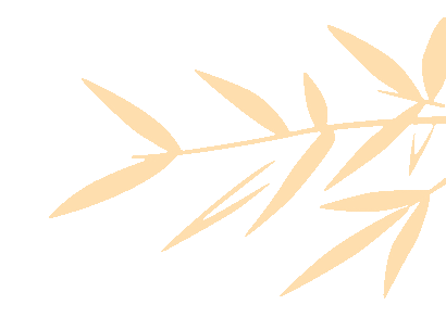 景区景点篇 | 来赣州,你的春节之旅,赣州旅投集团承包了!