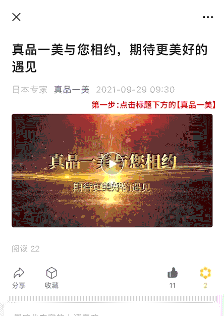 2026日本东北赏樱花景点精选粉色春日必打卡