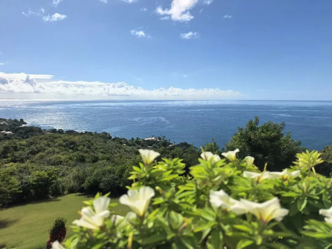 南美48天旅游日记(九):D09:多巴哥→特立尼达