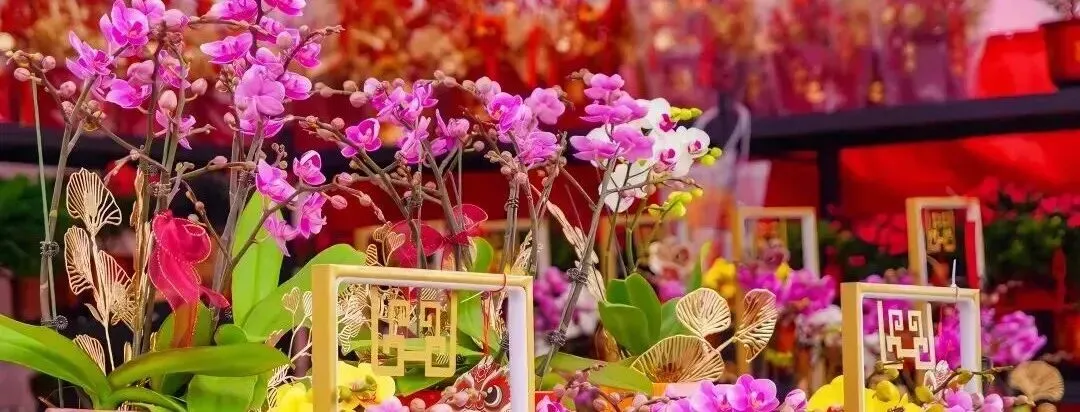 致珠海市旅游从业者的倡议书