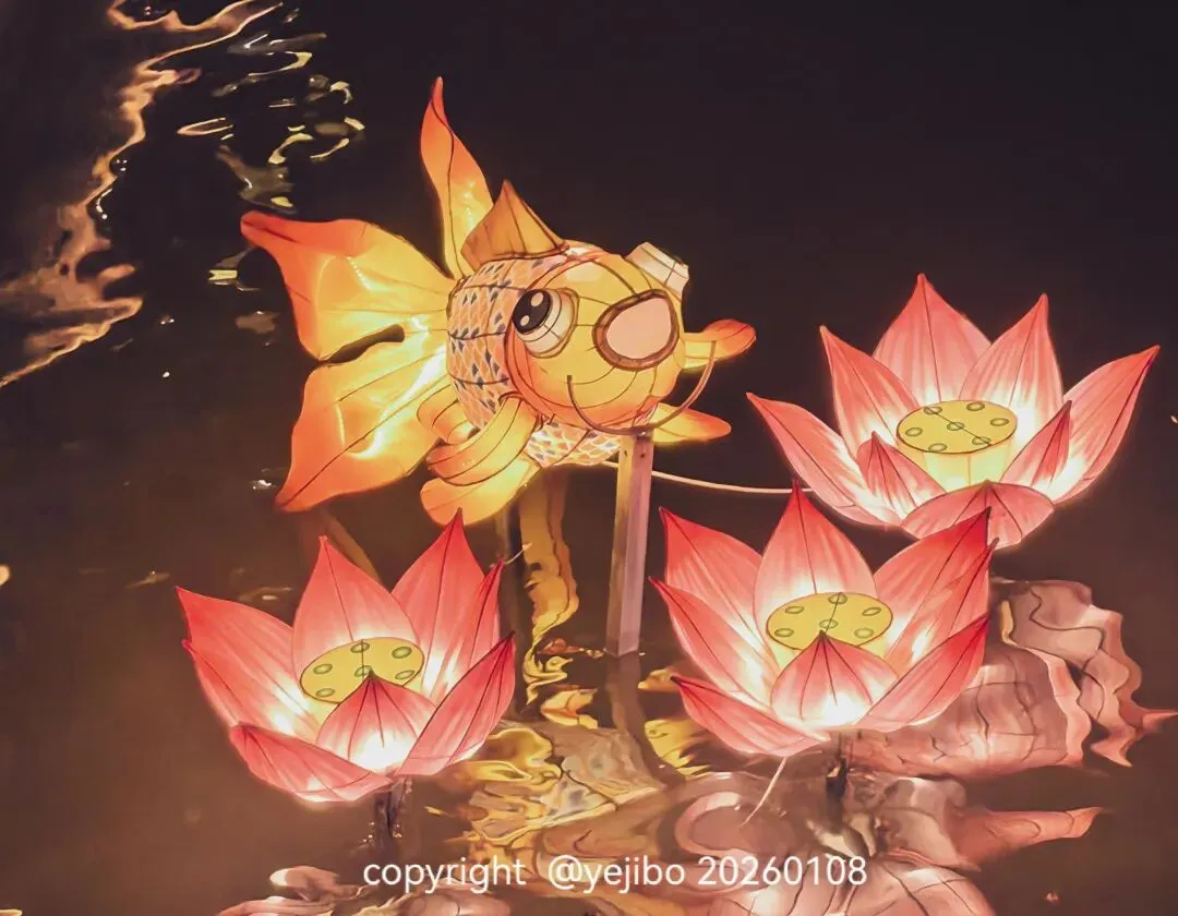 【旅游摄影】手机摄影第451周(2026.01.08-2026.01.14)