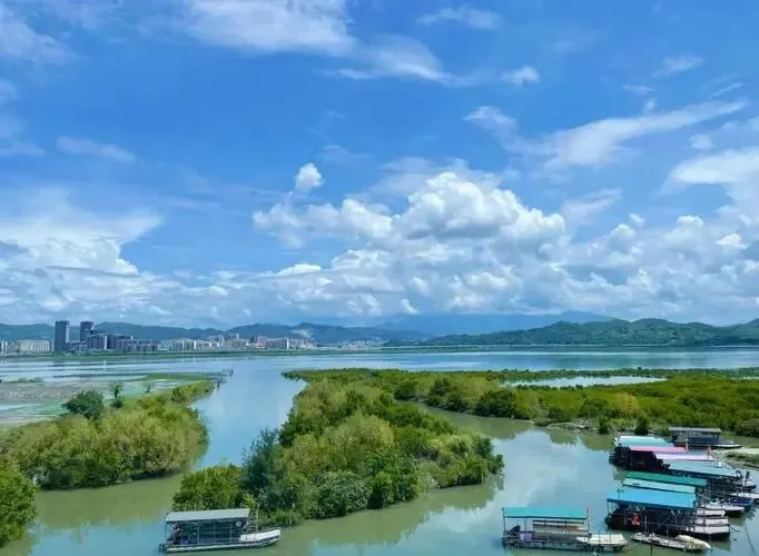 广东盐洲岛把全国景区的饭碗给砸了