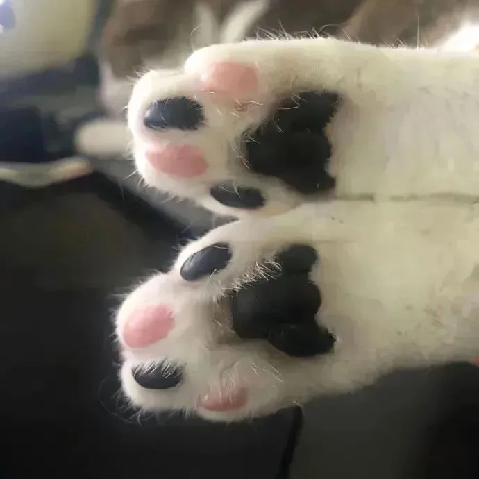 拿去,适合出门旅游发的句子