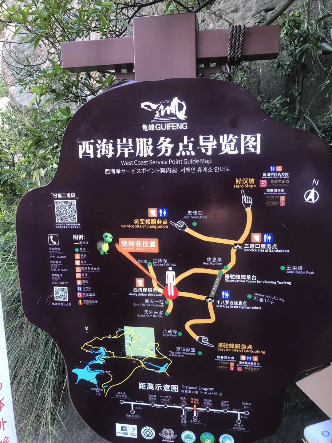 居然还有一个景点叫龟峰