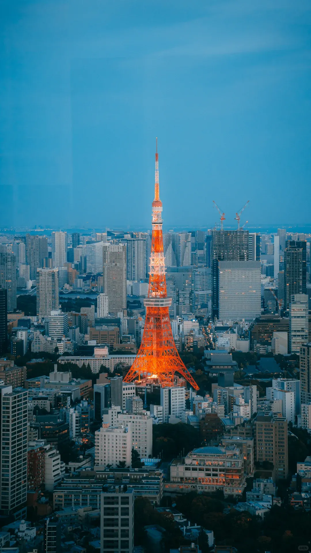 网友分享||东京旅游 拍完这1️⃣8️⃣机位再走