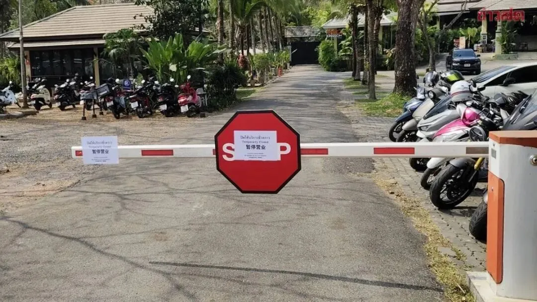 曾经排队摸老虎的清迈知名景点,如今只剩大门紧闭