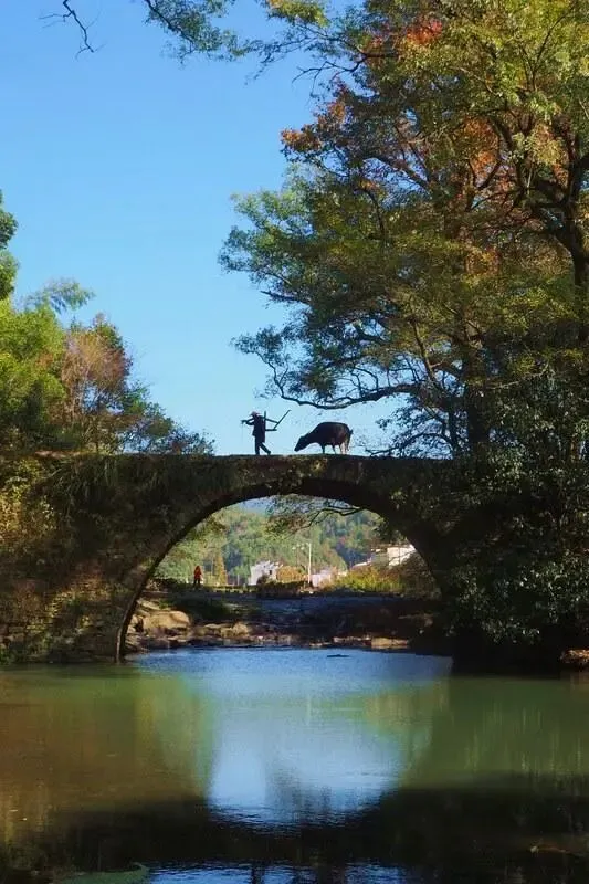 谁说奇观只在景区?农村老人带我看的古河道,比5A还震撼,知道的人少